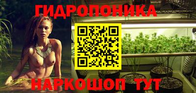 винт Канаш