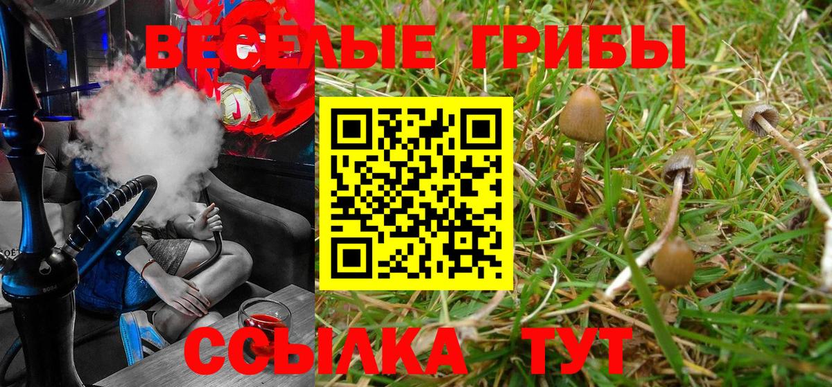 Сосновый Бор  Галлюциногенные грибы GOLDEN TEACHER  Вход с VPN 