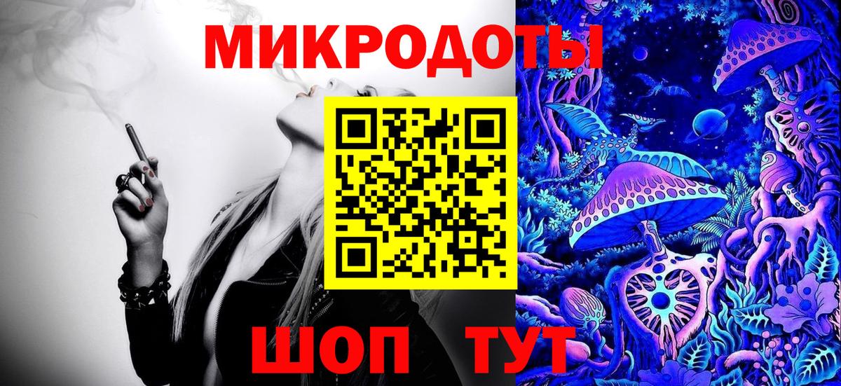 Псилоцибиновые грибы мицелий Сосновый Бор