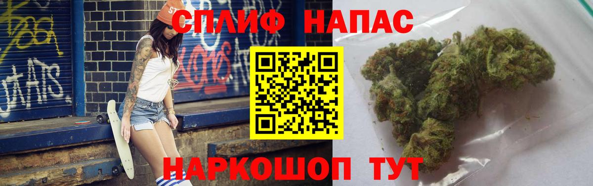 Конопля гибрид Сосновый Бор
